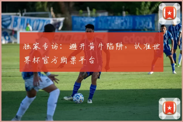 独家专访：避开黄牛陷阱，认准世界杯官方购票平台
