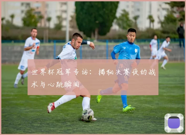 世界杯冠军专访:揭秘决赛夜的战术与心跳瞬间