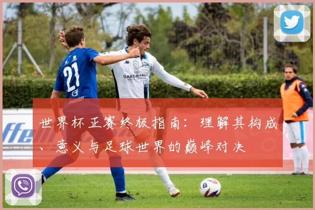 世界杯正赛终极指南:理解其构成、意义与足球世界的巅峰对决