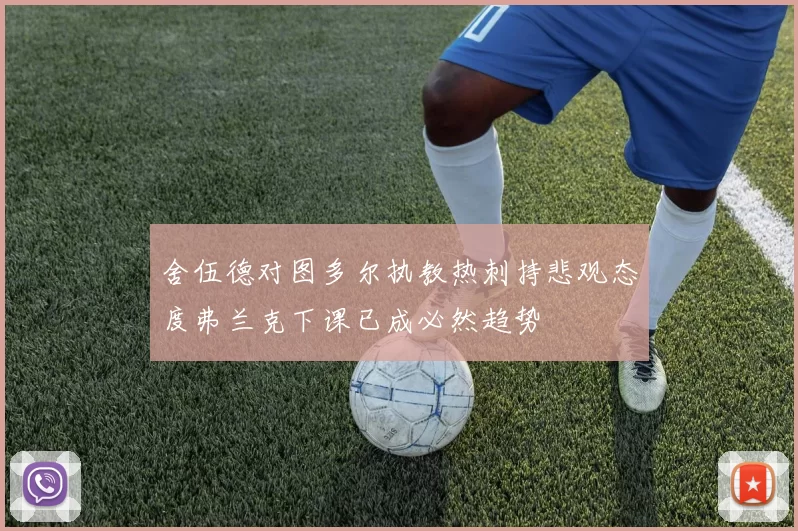 舍伍德对图多尔执教热刺持悲观态度弗兰克下课已成必然趋势