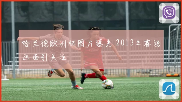哈兰德欧洲杯图片曝光 2013年赛场画面引关注