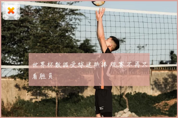 世界杯数据受球迷热捧 观赛不再只看胜负