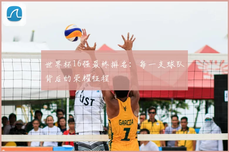 世界杯16强最终排名：每一支球队背后的荣耀征程