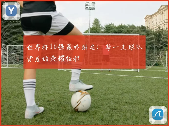 世界杯16强最终排名:每一支球队背后的荣耀征程