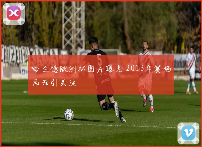 哈兰德欧洲杯图片曝光 2013年赛场画面引关注